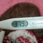 お久し振りです